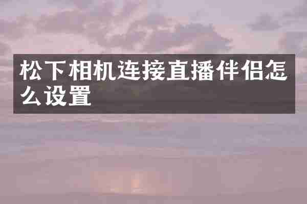 松下相机连接直播伴侣怎么设置