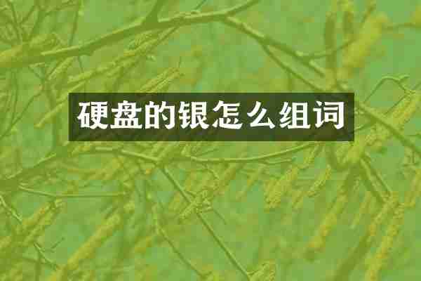硬盘的银怎么组词