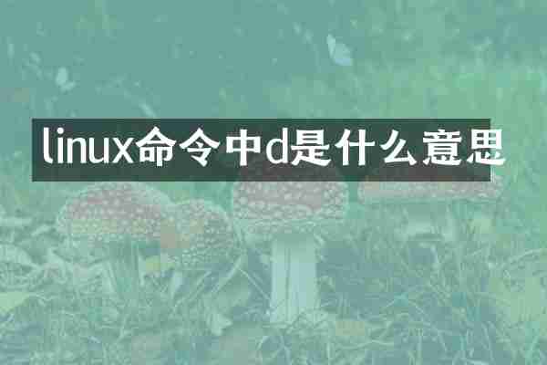 linux命令中d是什么意思