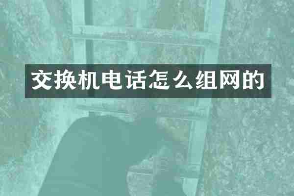 交换机电话怎么组网的