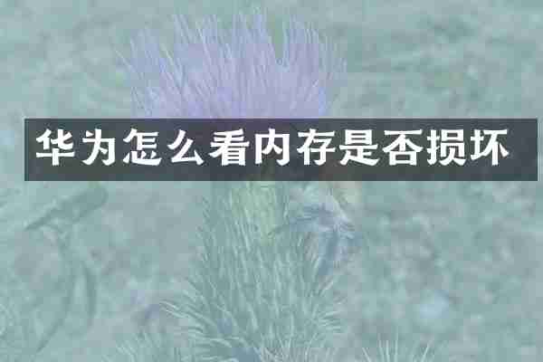 华为怎么看内存是否损坏