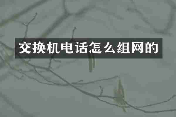 交换机电话怎么组网的