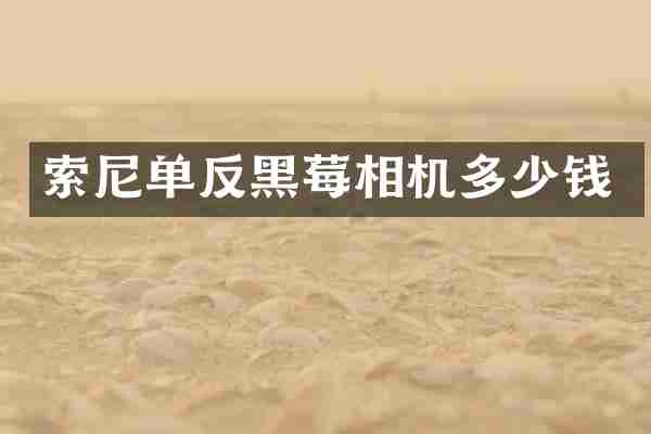索尼单反黑莓相机多少钱