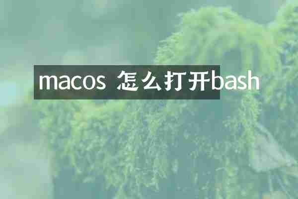 macos 怎么打开bash