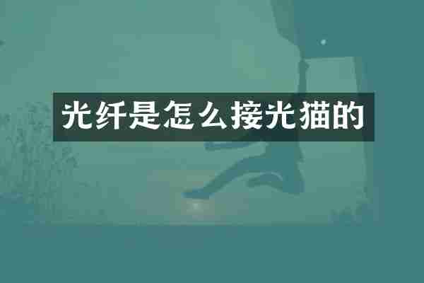 光纤是怎么接光猫的