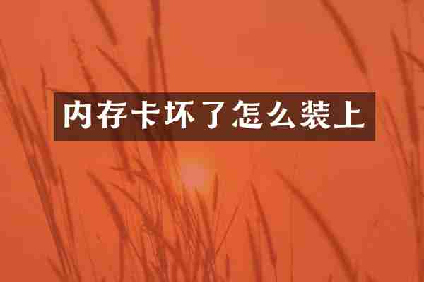 内存卡坏了怎么装上