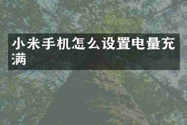 小米手机怎么设置电量充满