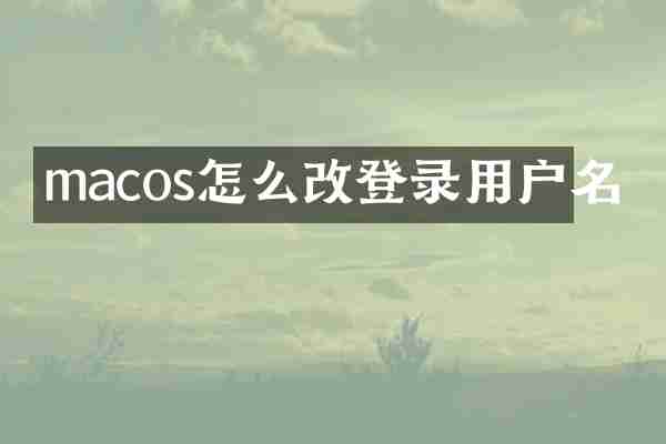 macos怎么改登录用户名