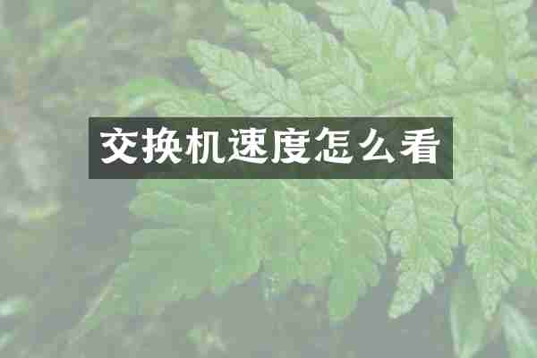 交换机速度怎么看