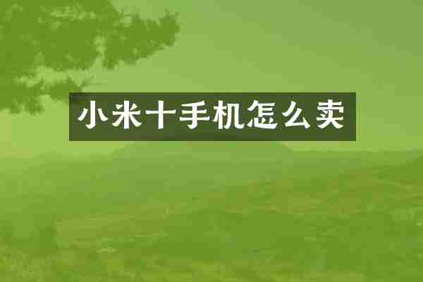 小米十手机怎么卖