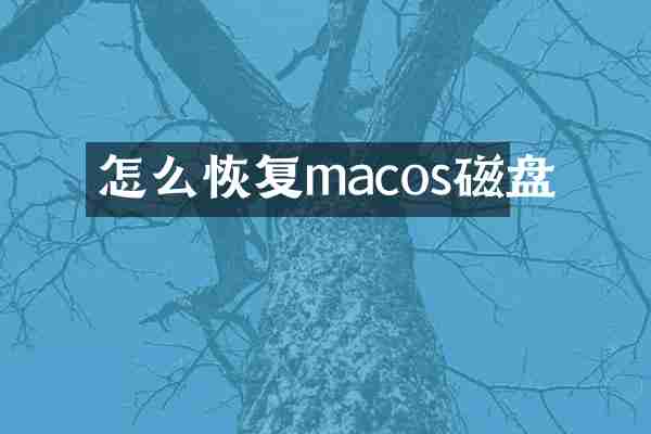 怎么恢复macos磁盘