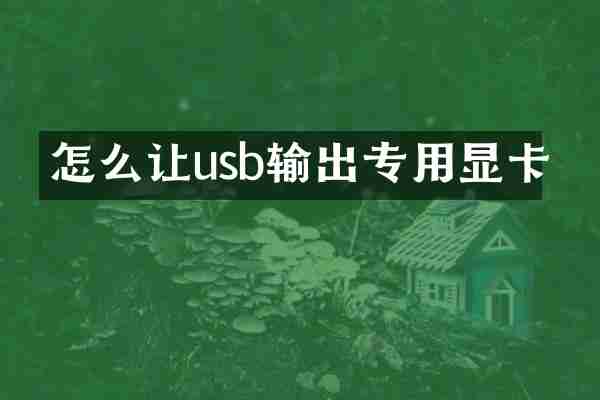 怎么让usb输出专用显卡