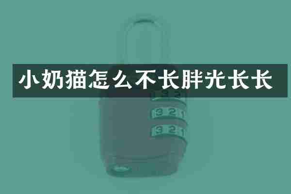 小奶猫怎么不长胖光长长