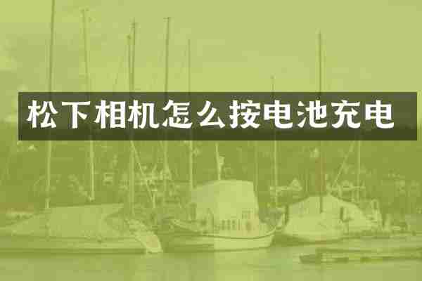 松下相机怎么按电池充电