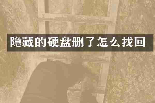 隐藏的硬盘删了怎么找回
