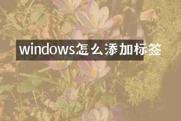 windows怎么添加标签