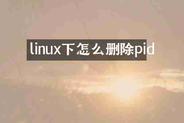 linux下怎么删除pid
