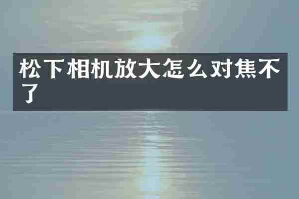 松下相机放大怎么对焦不了