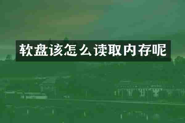 软盘该怎么读取内存呢
