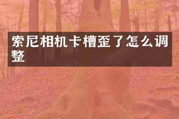 索尼相机卡槽歪了怎么调整