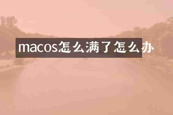 macos怎么满了怎么办