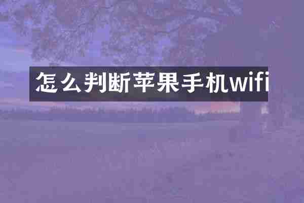怎么判断苹果手机wifi