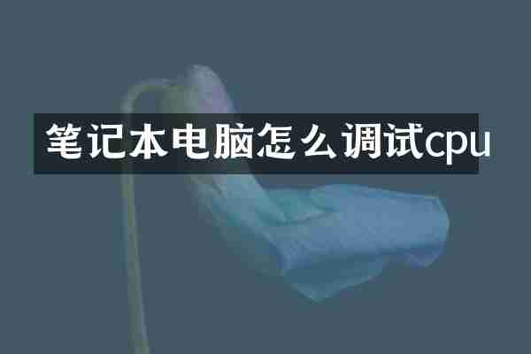 笔记本电脑怎么调试cpu