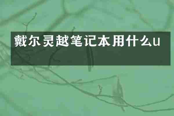 戴尔灵越笔记本用什么u盘