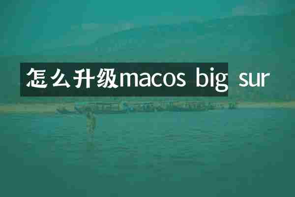 怎么升级macos big sur