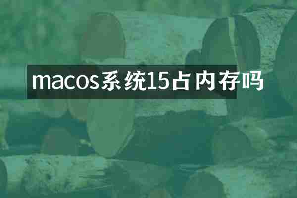 macos系统15占内存吗