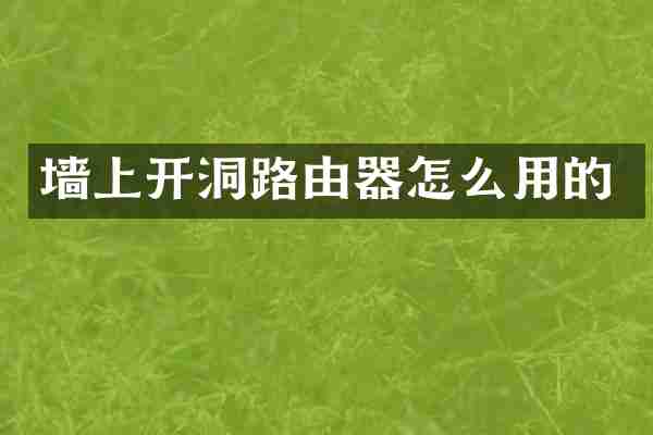 墙上开洞路由器怎么用的