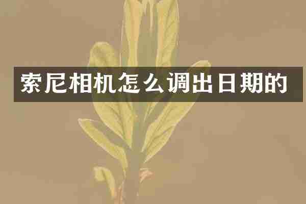 索尼相机怎么调出日期的