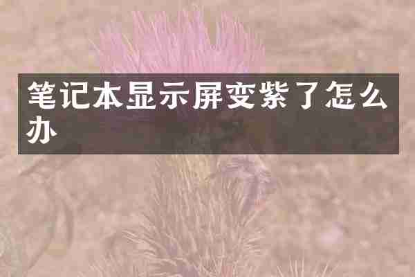 笔记本显示屏变紫了怎么办