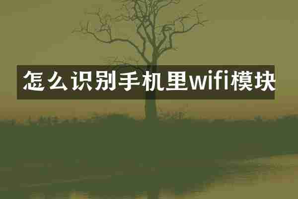 怎么识别手机里wifi模块
