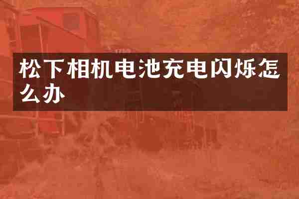 松下相机电池充电闪烁怎么办