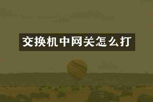 交换机中网关怎么打