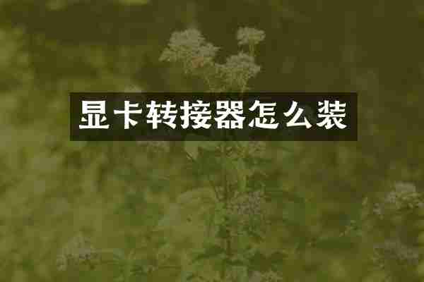 显卡转接器怎么装