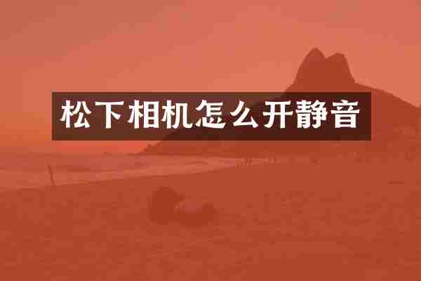 松下相机怎么开静音