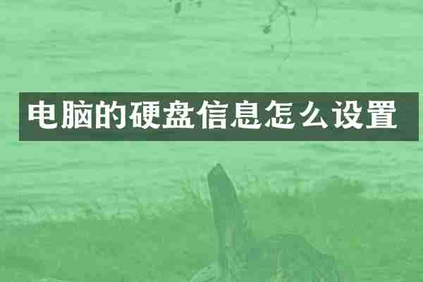 电脑的硬盘信息怎么设置