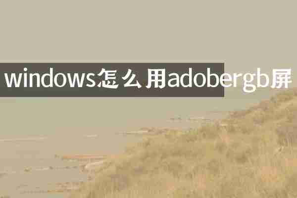 windows怎么用adobergb屏