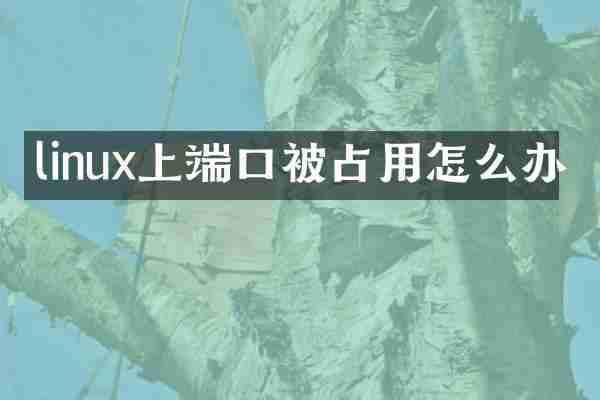 linux上端口被占用怎么办