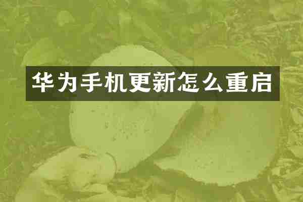 华为手机更新怎么重启