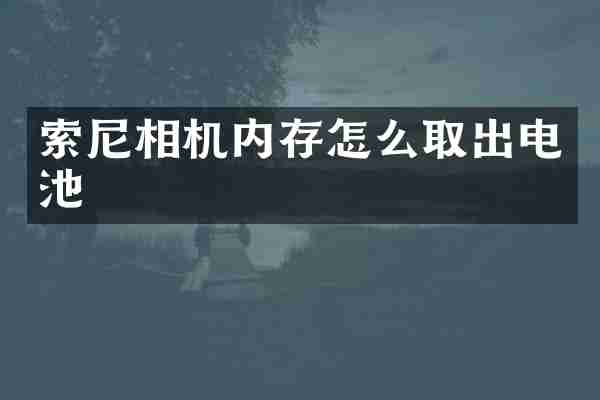 索尼相机内存怎么取出电池
