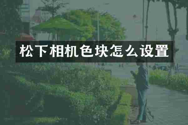 松下相机色块怎么设置