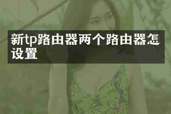 新tp路由器两个路由器怎么设置