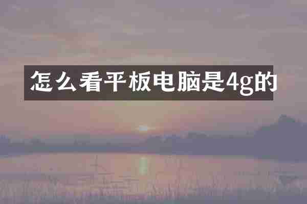 怎么看平板电脑是4g的