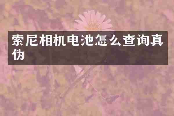 索尼相机电池怎么查询真伪