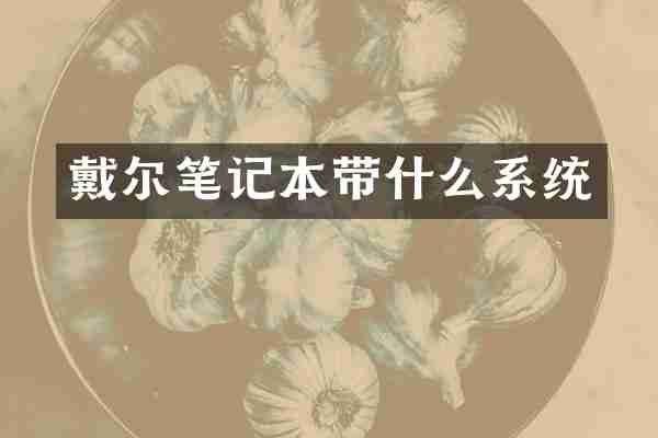 戴尔笔记本带什么系统