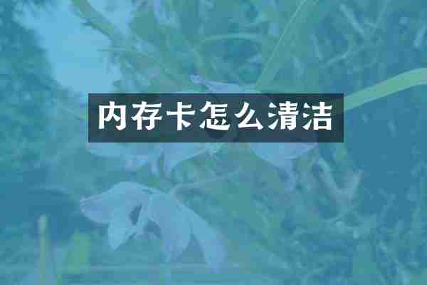 内存卡怎么清洁
