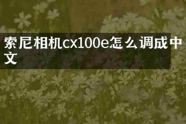 索尼相机cx100e怎么调成中文